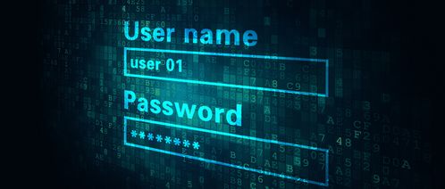 從“零信任”開始 構筑網絡安全與信息安全軟件開發的新基石